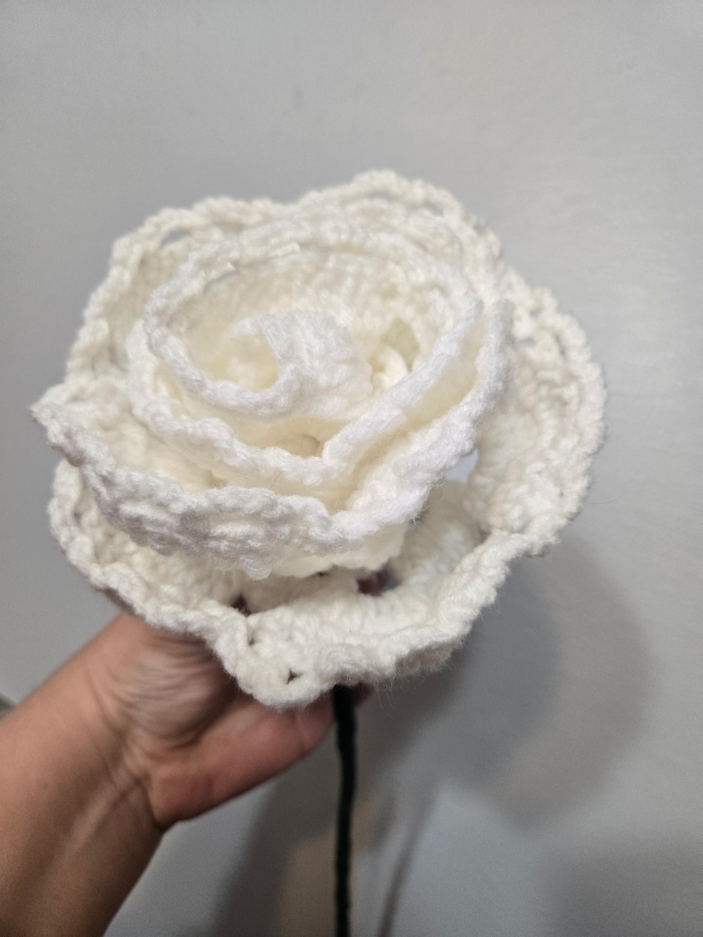Single Rose ( You Pick Color )