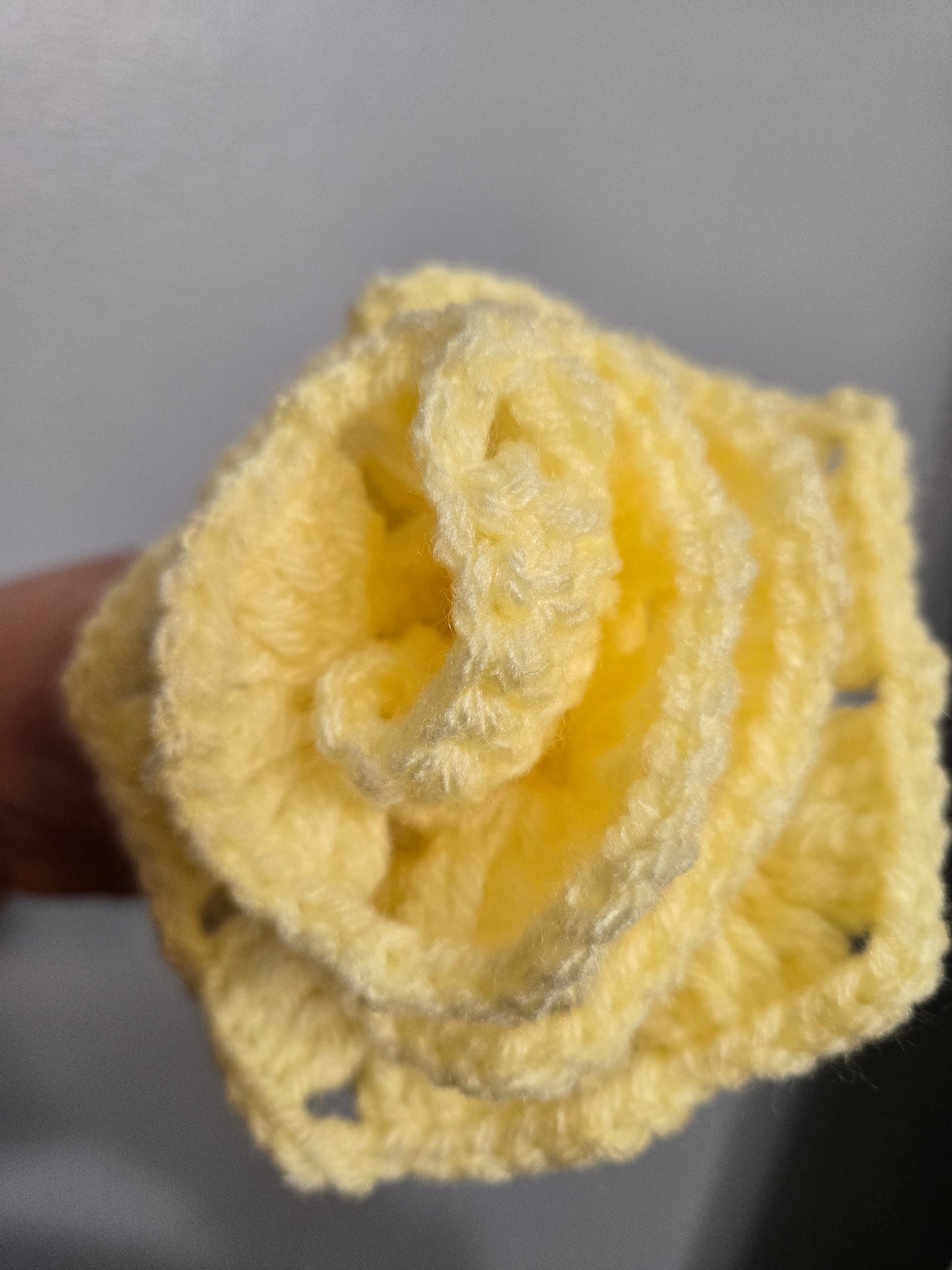 Single Rose ( You Pick Color )