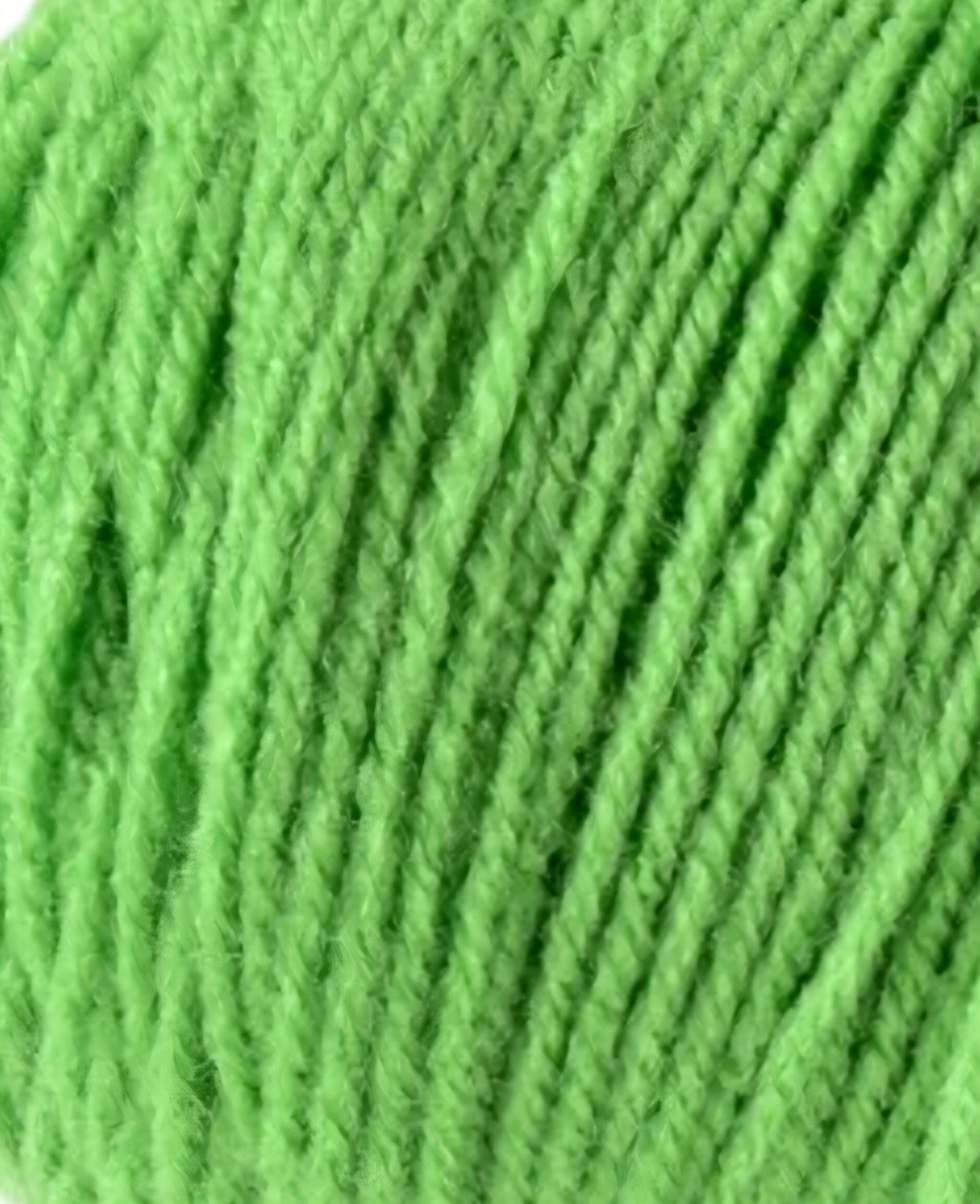 Single Rose ( You Pick Color )