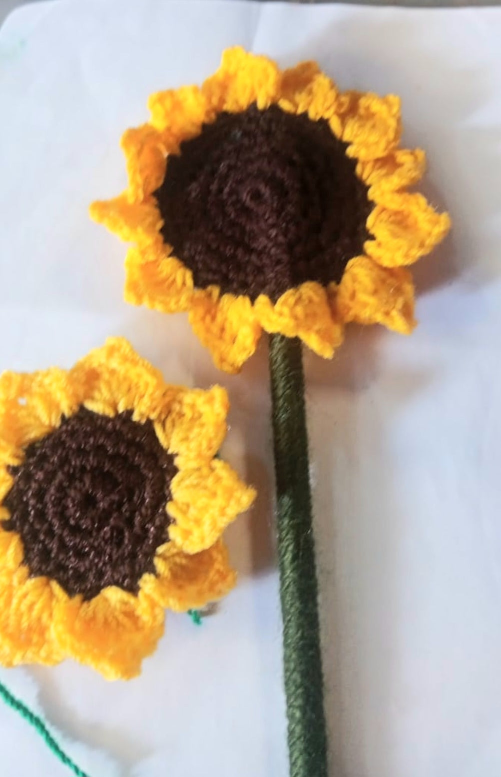 Sunflower🌻