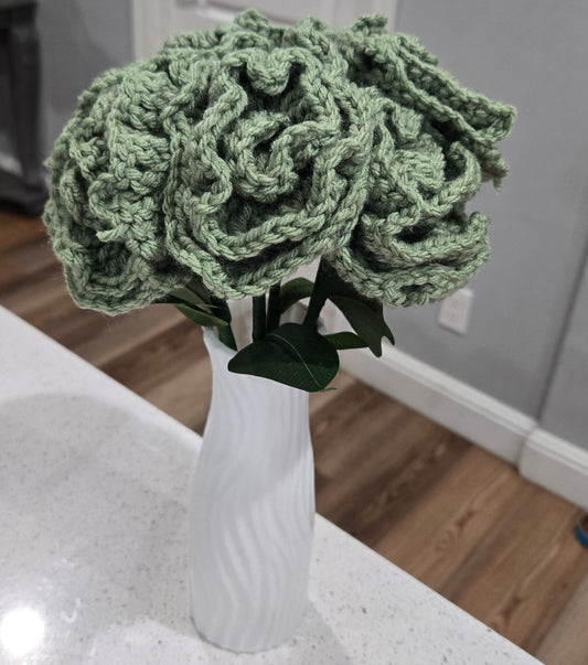Half Dozen Roses ( You pick Color)
